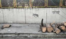 &Delta;ή&mu;&omicron;&sigmaf; &mu;&epsilon;... &alpha;&gamma;&rho;&iota;&epsilon;&mu;έ&nu;&epsilon;&sigmaf; &delta;&iota;&alpha;&theta;έ&sigma;&epsilon;&iota;&sigmaf; &kappa;&alpha;&iota; &laquo;&mu;&alpha;&theta;ή&mu;&alpha;&tau;&alpha;&raquo; &delta;&epsilon;&omicron;&nu;&tau;&omicron;&lambda;&omicron;&gamma;ί&alpha;&sigmaf;