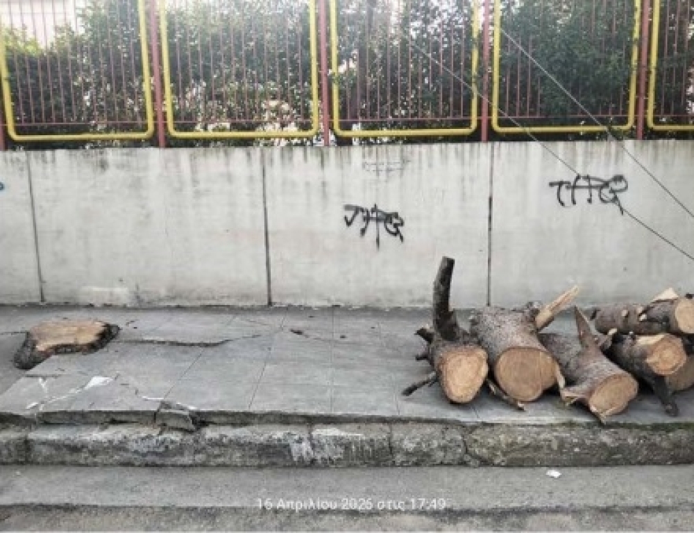 &Delta;ή&mu;&omicron;&sigmaf; &mu;&epsilon;... &alpha;&gamma;&rho;&iota;&epsilon;&mu;έ&nu;&epsilon;&sigmaf; &delta;&iota;&alpha;&theta;έ&sigma;&epsilon;&iota;&sigmaf; &kappa;&alpha;&iota; &laquo;&mu;&alpha;&theta;ή&mu;&alpha;&tau;&alpha;&raquo; &delta;&epsilon;&omicron;&nu;&tau;&omicron;&lambda;&omicron;&gamma;ί&alpha;&sigmaf;