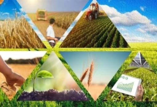 Ευκαιρίες επιχειρείν στη Λακωνία μέσω Leader