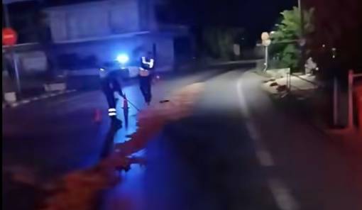 &Delta;&iota;&alpha;&rho;&rho;&omicron;ή &lambda;&alpha;&delta;&iota;ώ&nu; &sigma;&tau;&eta;&nu; &Epsilon;&Omicron; &Sigma;&pi;ά&rho;&tau;&eta;&sigmaf;-&Tau;&rho;ί&pi;&omicron;&lambda;&eta;&sigmaf; &sigma;&tau;&eta;&nu; &Kappa;&omicron;&kappa;&kappa;&iota;&nu;ό&rho;&alpha;&chi;&eta;