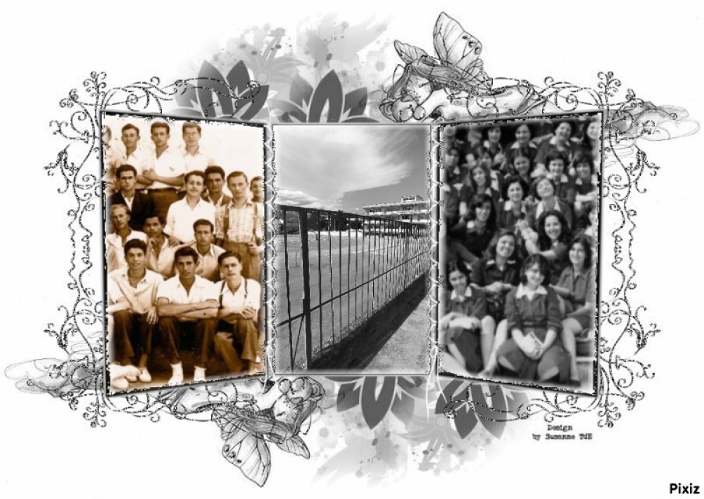 &Eta; &laquo;&kappa;&alpha;&gamma;&kappa;&epsilon;&lambda;&alpha;&rho;ί&alpha;&raquo; &tau;&omicron;&upsilon; &Gamma;&upsilon;&mu;&nu;&alpha;&sigma;ί&omicron;&upsilon; &Alpha;&rho;&rho;έ&nu;&omega;&nu; &Sigma;&pi;ά&rho;&tau;&eta;&sigmaf;