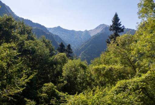 Άγραφα: «Θα παραμείνουν για πάντα Απάτητα Βουνά»