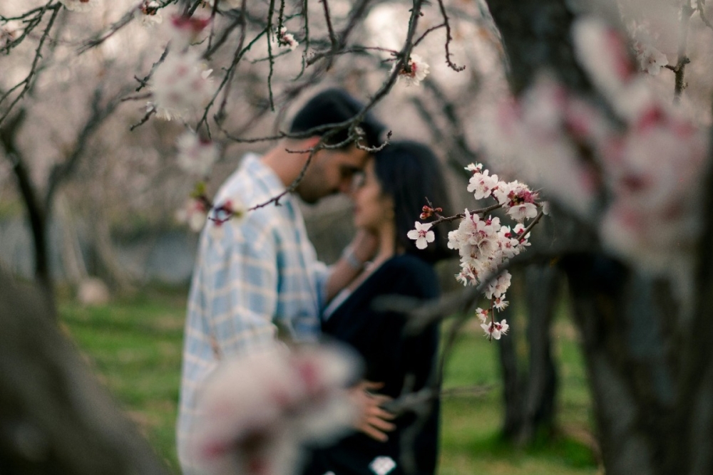 Ά&nu;&omicron;&iota;&xi;&eta; &amp; Έ&rho;&omega;&tau;&alpha;&sigmaf;: &Tau;&alpha; 2 &zeta;ώ&delta;&iota;&alpha; &pi;&omicron;&upsilon; &theta;&alpha; &zeta;ή&sigma;&omicron;&upsilon;&nu; &tau;&omicron; &alpha;&pi;ό&lambda;&upsilon;&tau;&omicron; &phi;&lambda;&epsilon;&rho;&tau; &phi;έ&tau;&omicron;&sigmaf;