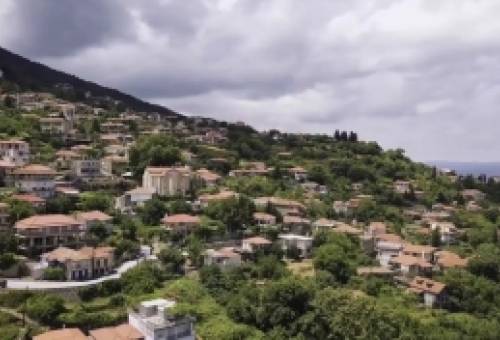 Τραγωδία στο Γεωργίτσι: Νεκρός άνδρας που καταπλακώθηκε από δέντρο