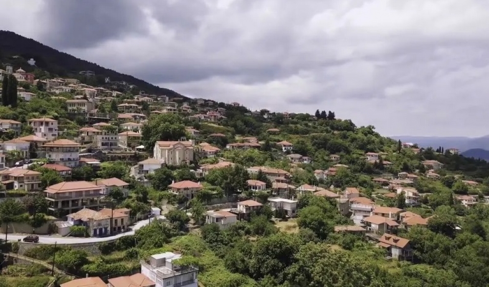 Τραγωδία στο Γεωργίτσι: Νεκρός άνδρας που καταπλακώθηκε από δέντρο