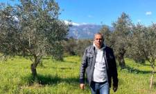 &Eta; &laquo;&Sigma;&chi;&omicron;&lambda;ή &Epsilon;&lambda;&alpha;&iota;&omicron;&kappa;&omicron;&mu;ί&alpha;&sigmaf;&raquo; &alpha;&pi;&lambda;ώ&nu;&epsilon;&iota; &tau;&iota;&sigmaf; &laquo;&rho;ί&zeta;&epsilon;&sigmaf;&raquo; &tau;&eta;&sigmaf; &sigma;&tau;&eta; &Sigma;&pi;ά&rho;&tau;&eta;