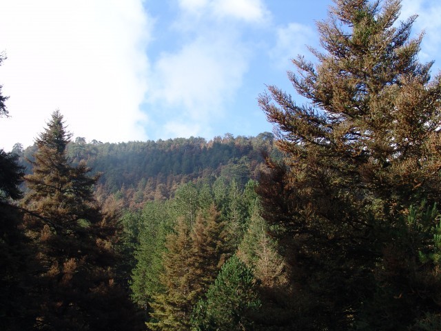 &Sigma;&epsilon; &kappa;ί&nu;&delta;&upsilon;&nu;&omicron; &tau;&omicron; &delta;&alpha;&sigma;&iota;&kappa;ό &sigma;ύ&sigma;&tau;&eta;&mu;&alpha; &tau;&omicron;&upsilon; &Tau;&alpha;ϋ&gamma;έ&tau;&omicron;&upsilon;