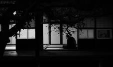 &Tau;&omicron; &Phi;&epsilon;&sigma;&tau;&iota;&beta;ά&lambda; &Tau;&alpha;&iota;&nu;&iota;ώ&nu; &Mu;&iota;&kappa;&rho;&omicron;ύ &Mu;ή&kappa;&omicron;&upsilon;&sigmaf; &Delta;&rho;ά&mu;&alpha;&sigmaf; &laquo;&tau;&alpha;&xi;&iota;&delta;&epsilon;ύ&epsilon;&iota;&raquo; &sigma;&tau;&omicron; &Gamma;ύ&theta;&epsilon;&iota;&omicron;