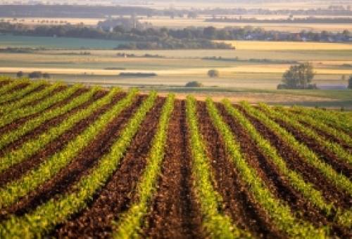 ΟΠΕΚΕΠΕ: Ενστάσεις σε αγροτεμάχια χωρίς ΚΑΕΚ και Μέτρο 23