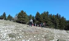 &Nu;έ&omicron; &Delta;&iota;&omicron;&iota;&kappa;&eta;&tau;&iota;&kappa;ό &Sigma;&upsilon;&mu;&beta;&omicron;ύ&lambda;&iota;&omicron; &sigma;&tau;&omicron;&nu; &Epsilon;&lambda;&lambda;&eta;&nu;&iota;&kappa;ό &Omicron;&rho;&epsilon;&iota;&beta;&alpha;&tau;&iota;&kappa;ό &Sigma;ύ&lambda;&lambda;&omicron;&gamma;&omicron; &Sigma;&pi;ά&rho;&tau;&eta;&sigmaf;