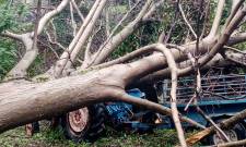 &Pi;&omicron;&lambda;&upsilon;&epsilon;&tau;ή&sigmaf; &kappa;&alpha;&rho;&upsilon;&delta;&iota;ά &kappa;&alpha;&tau;&alpha;&pi;&lambda;ά&kappa;&omega;&sigma;&epsilon; &tau;&rho;&alpha;&kappa;&tau;έ&rho; &sigma;&tau;&eta; &Beta;ά&rho;&sigma;&omicron;&beta;&alpha;