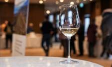 &Eta; &Pi;&epsilon;&lambda;&omicron;&pi;ό&nu;&nu;&eta;&sigma;&omicron;&sigmaf; &nu;&alpha; &tau;&eta;&nu;&hellip; &pi;&iota;&epsilon;&iota;&sigmaf; &sigma;&tau;&omicron; &pi;&omicron;&tau;ή&rho;&iota; &sigma;&tau;&omicron; &laquo;Peloponnese Wine Festival&raquo;!