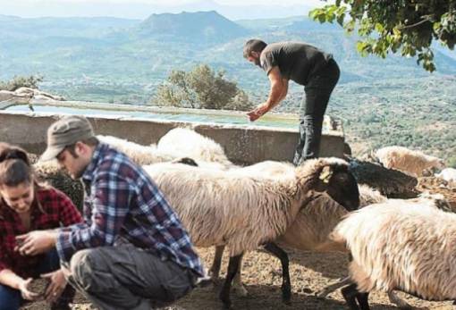 Προς δημιουργία Ακαδημίας Επαγγελματικής Κατάρτισης στη Μάνη