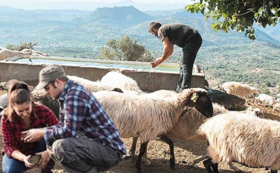 &Pi;&rho;&omicron;&sigmaf; &delta;&eta;&mu;&iota;&omicron;&upsilon;&rho;&gamma;ί&alpha; &Alpha;&kappa;&alpha;&delta;&eta;&mu;ί&alpha;&sigmaf; &Epsilon;&pi;&alpha;&gamma;&gamma;&epsilon;&lambda;&mu;&alpha;&tau;&iota;&kappa;ή&sigmaf; &Kappa;&alpha;&tau;ά&rho;&tau;&iota;&sigma;&eta;&sigmaf; &sigma;&tau;&eta; &Mu;ά&nu;&eta;