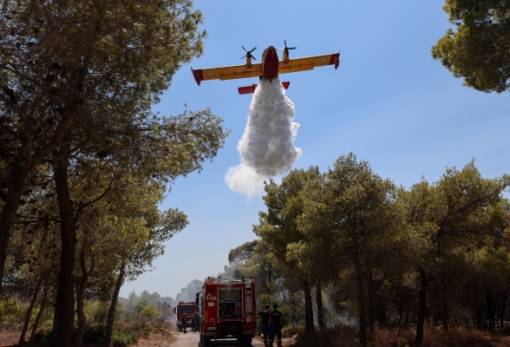 Η Πελοπόννησος «έσωσε» φέτος τα δάση της