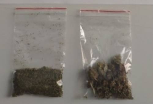 Σωρεία συλλήψεων για κάνναβη τη Δευτέρα στη Λακωνία