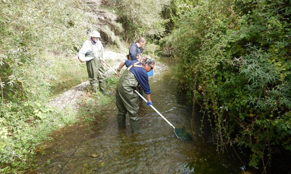 &laquo;&Delta;ί&chi;&tau;&upsilon;&raquo; &delta;&iota;&alpha;&phi;ύ&lambda;&alpha;&xi;&eta;&sigmaf; &tau;&eta;&sigmaf; &iota;&chi;&theta;&upsilon;&omicron;&pi;&alpha;&nu;ί&delta;&alpha;&sigmaf; &tau;&omicron;&upsilon; &Epsilon;&upsilon;&rho;ώ&tau;&alpha; (&Phi;&Omega;&Tau;&Omicron;)