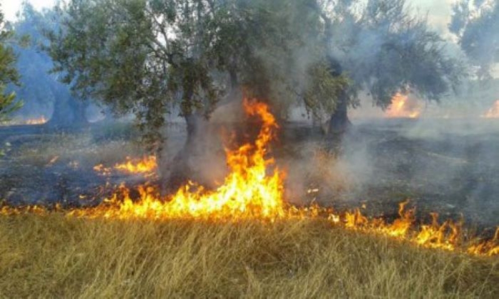 &Alpha;&iota;&tau;ή&sigma;&epsilon;&iota;&sigmaf; &gamma;&iota;&alpha; &alpha;&pi;&omicron;&zeta;&eta;&mu;&iota;ώ&sigma;&epsilon;&iota;&sigmaf; &alpha;&pi;ό &tau;&eta; &phi;&omega;&tau;&iota;ά &sigma;&tau;&eta;&nu; &Pi;&alpha;&nu;&tau;ά&nu;&alpha;&sigma;&sigma;&alpha; &Mu;&omicron;&nu;&epsilon;&mu;&beta;&alpha;&sigma;ί&alpha;&sigmaf;