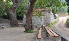 &Pi;&rho;&omega;&tau;&omicron;&mu;&alpha;&gamma;&iota;ά &sigma;&tau;&omicron;&nu; &Kappa;&alpha;&tau;&alpha;&gamma;&iota;ά&nu;&nu;&eta;: &Pi;&alpha;&rho;&alpha;&delta;&omicron;&sigma;&iota;&alpha;&kappa;ό &alpha;&nu;&omicron;&iota;&xi;&iota;ά&tau;&iota;&kappa;&omicron; &alpha;&nu;&tau;ά&mu;&omega;&mu;&alpha; &sigma;&tau;&iota;&sigmaf; &Alpha;&mu;ύ&kappa;&lambda;&epsilon;&sigmaf;