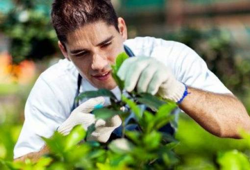 Προσλήψεις εννέα γεωπόνων στην ΠΕ Λακωνίας