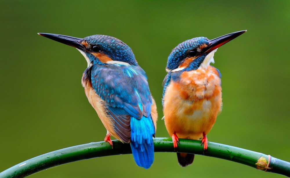 &Kappa;&alpha;&iota; &tau;&alpha; &pi;&omicron;&upsilon;&lambda;&iota;ά &laquo;&chi;&omega;&rho;ί&zeta;&omicron;&upsilon;&nu;&raquo; &lambda;ό&gamma;&omega; &alpha;&pi;&iota;&sigma;&tau;ί&alpha;&sigmaf; ή &laquo;&sigma;&chi;έ&sigma;&epsilon;&omega;&nu; &epsilon;&xi; &alpha;&pi;&omicron;&sigma;&tau;ά&sigma;&epsilon;&omega;&sigmaf;&raquo;