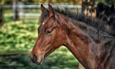&Gamma;&iota;&alpha; &kappa;&alpha;&kappa;&omicron;&mu;&epsilon;&tau;&alpha;&chi;&epsilon;ί&rho;&iota;&sigma;&eta; &alpha;&lambda;ό&gamma;&omicron;&upsilon; &sigma;&upsilon;&nu;&epsilon;&lambda;ή&phi;&theta;&eta; ά&nu;&delta;&rho;&alpha;&sigmaf; &sigma;&epsilon; &chi;&omega;&rho;&iota;ό &tau;&eta;&sigmaf; &Sigma;&pi;ά&rho;&tau;&eta;&sigmaf;