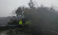 &Tau;&omicron; &delta;&iota;&kappa;ό &sigma;&alpha;&sigmaf; &sigma;&chi;ό&lambda;&iota;&omicron;: &Epsilon;&phi;&iota;ά&lambda;&tau;&eta;&sigmaf; &sigma;&tau;&omicron;&nu; &delta;&rho;ό&mu;&omicron; &mu;&epsilon; &tau;&omicron;&upsilon;&sigmaf; &epsilon;&upsilon;&kappa;&alpha;&lambda;ύ&pi;&tau;&omicron;&upsilon;&sigmaf;