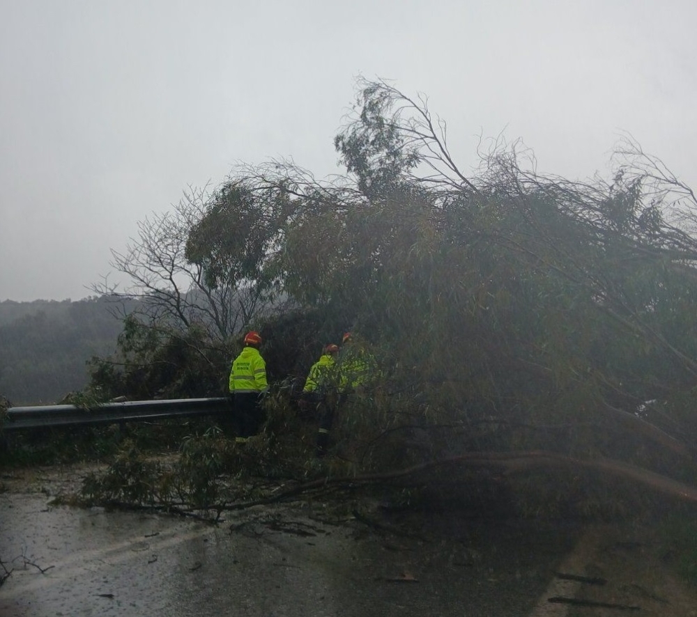 &Tau;&omicron; &delta;&iota;&kappa;ό &sigma;&alpha;&sigmaf; &sigma;&chi;ό&lambda;&iota;&omicron;: &Epsilon;&phi;&iota;ά&lambda;&tau;&eta;&sigmaf; &sigma;&tau;&omicron;&nu; &delta;&rho;ό&mu;&omicron; &mu;&epsilon; &tau;&omicron;&upsilon;&sigmaf; &epsilon;&upsilon;&kappa;&alpha;&lambda;ύ&pi;&tau;&omicron;&upsilon;&sigmaf;