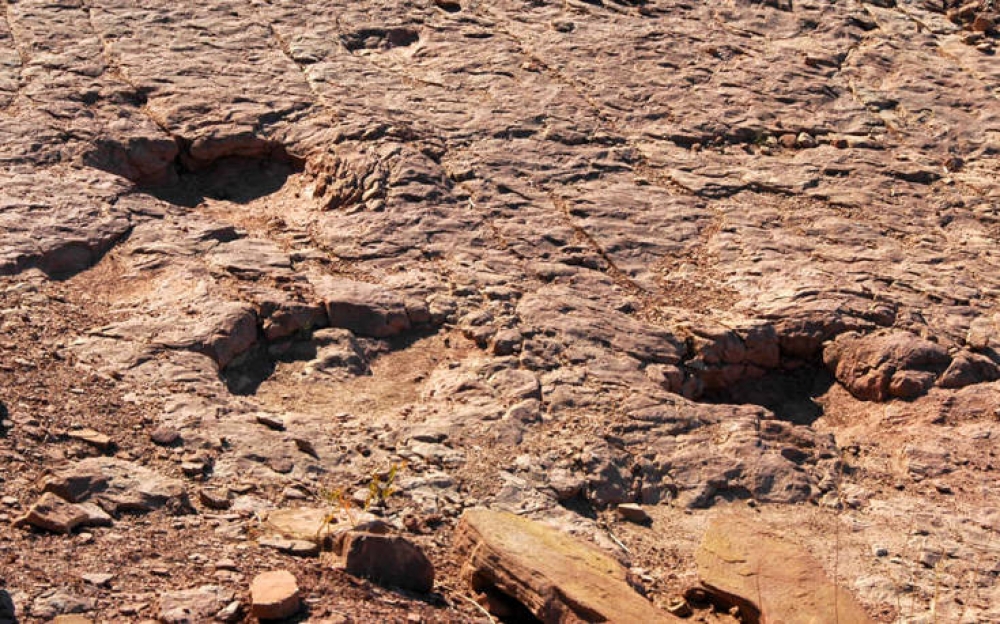 &Tau;&iota; &alpha;&pi;&omicron;&kappa;ά&lambda;&upsilon;&psi;&alpha;&nu; &gamma;&iota;&alpha; &tau;&omicron;&upsilon;&sigmaf; &delta;&epsilon;&iota;&nu;ό&sigma;&alpha;&upsilon;&rho;&omicron;&upsilon;&sigmaf; &tau;&alpha; &mu;&upsilon;&sigma;&tau;&eta;&rho;&iota;ώ&delta;&eta; &alpha;&pi;&omicron;&tau;&upsilon;&pi;ώ&mu;&alpha;&tau;ά &tau;&omicron;&upsilon;&sigmaf; &sigma;&tau;&omicron; &nu;&epsilon;&rho;ό