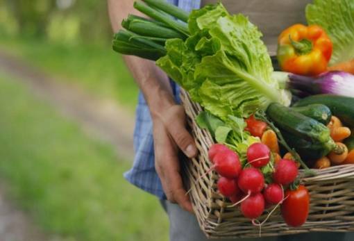 ΥΠΑΑΤ: Στο 98,2% η συμμόρφωση για υπολείμματα φυτοφαρμάκων τον Δεκέμβριο του 2025