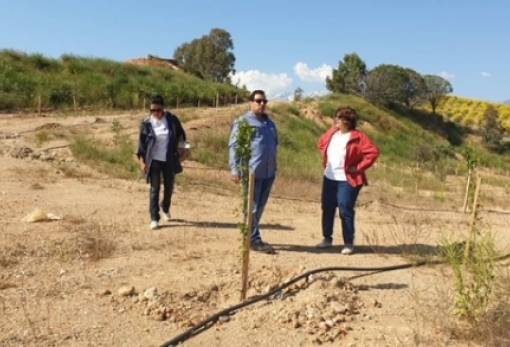 Δήμος Σπάρτης: «Αναμένουμε τις ενέργειες της Περιφέρειας για πλήρη αποκατάσταση του ΧΑΔΑ»