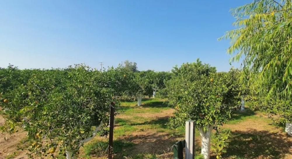 &Pi;&rho;&omicron;&sigmaf; &pi;ώ&lambda;&eta;&sigma;&eta; &alpha;&gamma;&rho;ό&kappa;&tau;&eta;&mu;&alpha; &mu;&epsilon; &pi;&alpha;&rho;&alpha;&gamma;&omega;&gamma;&iota;&kappa;έ&sigmaf; &pi;&omicron;&rho;&tau;&omicron;&kappa;&alpha;&lambda;&iota;έ&sigmaf; &sigma;&tau;&eta; &Sigma;&tau;&epsilon;&phi;&alpha;&nu;&iota;ά &Lambda;&alpha;&kappa;&omega;&nu;ί&alpha;&sigmaf;