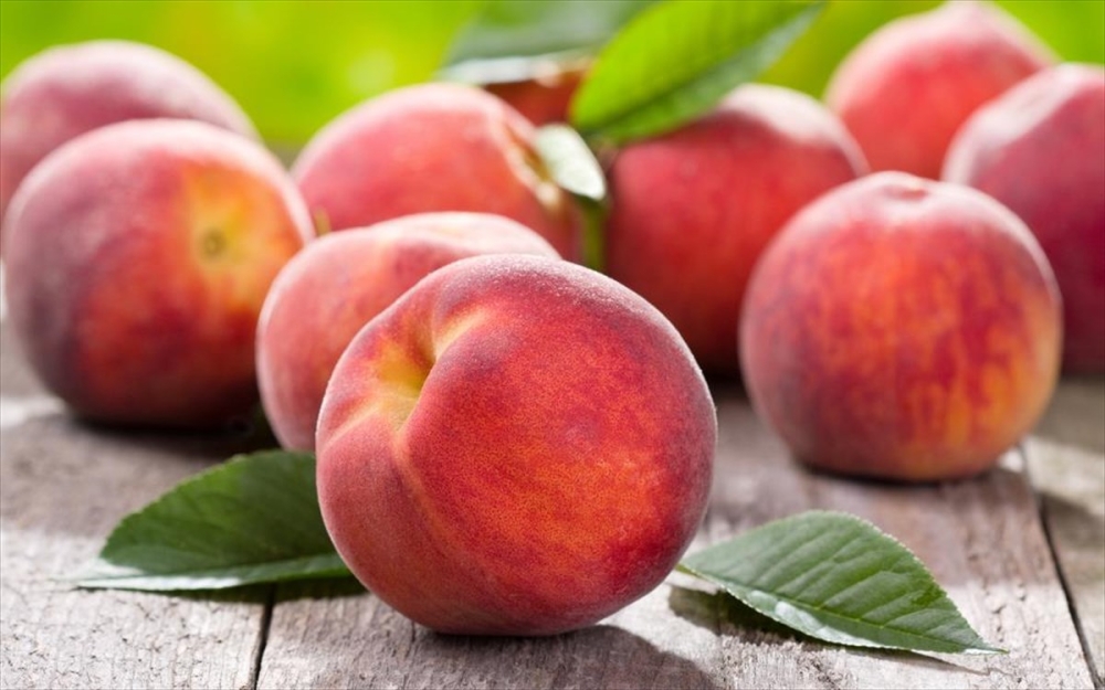 &Delta;&omega;&rho;&epsilon;ά&nu; &delta;&iota;&alpha;&nu;&omicron;&mu;ή &rho;&omicron;&delta;ά&kappa;&iota;&nu;&omega;&nu; &alpha;&pi;ό &tau;&omicron;&nu; &Sigma;ύ&lambda;&lambda;&omicron;&gamma;&omicron; &Tau;&rho;ί&tau;&epsilon;&kappa;&nu;&omega;&nu; &Nu;. &Lambda;&alpha;&kappa;&omega;&nu;ί&alpha;&sigmaf;