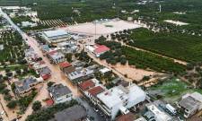 &Sigma;&tau;&eta; &Beta;&omicron;&upsilon;&lambda;ή &alpha;&pi;ό &tau;&omicron; &Kappa;&Kappa;&Epsilon; &omicron; &alpha;&nu;&tau;ί&kappa;&tau;&upsilon;&pi;&omicron;&sigmaf; &tau;&omega;&nu; &kappa;&alpha;&kappa;&omicron;&kappa;&alpha;&iota;&rho;&iota;ώ&nu; &sigma;&tau;&eta; &Lambda;&alpha;&kappa;&omega;&nu;ί&alpha;