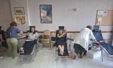 &Eta; &alpha;&nu;&theta;&rho;&omega;&pi;&iota;ά &kappa;&alpha;&iota; &pi;&rho;&omicron;&sigma;&phi;&omicron;&rho;ά &kappa;&upsilon;&lambda;&omicron;ύ&nu; &sigma;&tau;&omicron; &laquo;&alpha;ί&mu;&alpha;&raquo; &tau;&eta;&sigmaf; &Sigma;&pi;ά&rho;&tau;&eta;&sigmaf;