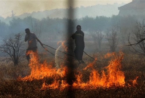 Στάχτη 37 στρέμ. αγροτοδασικής έκτασης στη Μάνη