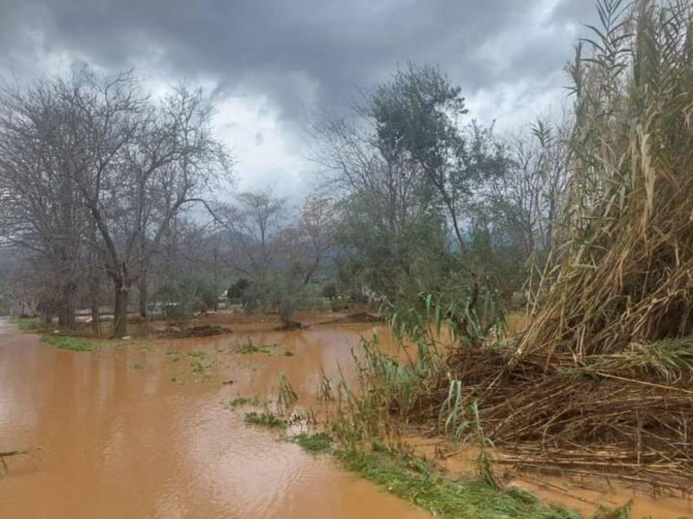 &Sigma;&epsilon; &kappa;&alpha;&tau;ά&sigma;&tau;&alpha;&sigma;&eta; έ&kappa;&tau;&alpha;&kappa;&tau;&eta;&sigmaf; &alpha;&nu;ά&gamma;&kappa;&eta;&sigmaf; &omicron; &Delta;ή&mu;&omicron;&sigmaf; &Epsilon;&upsilon;&rho;ώ&tau;&alpha;
