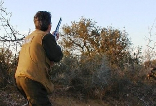  Ανανέωση κυνηγετικών αδειών στη ΝΑ Λακωνία