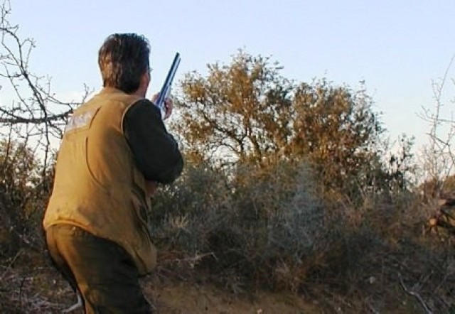  &Alpha;&nu;&alpha;&nu;έ&omega;&sigma;&eta; &kappa;&upsilon;&nu;&eta;&gamma;&epsilon;&tau;&iota;&kappa;ώ&nu; &alpha;&delta;&epsilon;&iota;ώ&nu; &sigma;&tau;&eta; &Nu;&Alpha; &Lambda;&alpha;&kappa;&omega;&nu;ί&alpha;