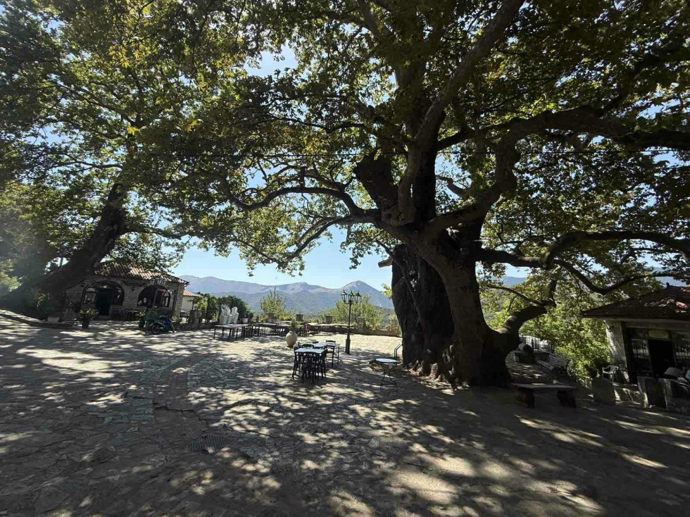 &Epsilon;ί&chi;&epsilon; &lambda;ό&gamma;&omicron;&upsilon;&sigmaf; &tau;&omicron; &laquo;&kappa;&omicron;&upsilon;&tau;&sigma;&omicron;ύ&rho;&epsilon;&mu;&alpha;&raquo; &tau;&omicron;&upsilon; &mu;&nu;&eta;&mu;&epsilon;&iota;&alpha;&kappa;&omicron;ύ &pi;&lambda;&alpha;&tau;ά&nu;&omicron;&upsilon; &tau;&eta;&sigmaf; Ά&rho;&nu;&alpha;&sigmaf;