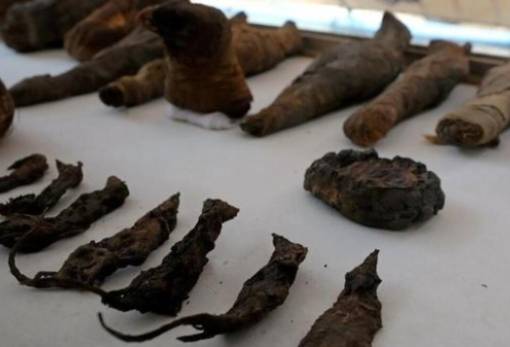 Μούμιες ποντικιών εντοπίστηκαν σε κορυφές ηφαιστείων