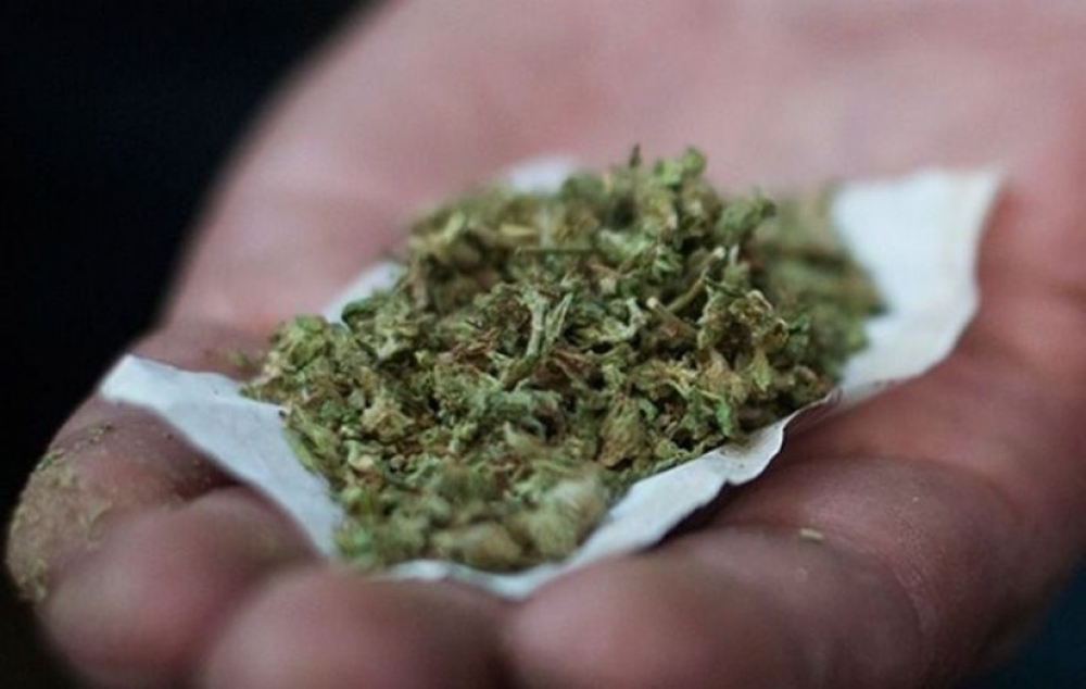 Είχε μικροποσότητα κάνναβης και συνελήφθη σε χωριό της Σπάρτης