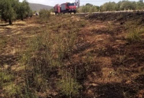 Στο άψε σβήσε έσβησε εστία φωτιάς στις Κροκεές