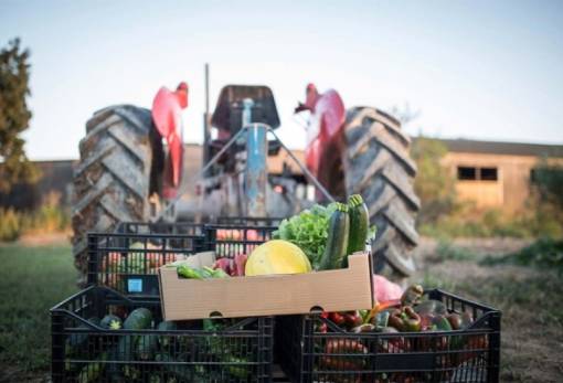Ποια ευρωπαϊκά προϊόντα απειλούνται από τους δασμούς του Τραμπ