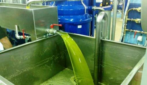 &laquo;SOS&raquo; &Kappa;&rho;&eta;&tau;&iota;&kappa;&omicron;ύ &gamma;&iota;&alpha; &tau;&omicron;&upsilon;&sigmaf; &epsilon;&lambda;&alpha;&iota;&omicron;&upsilon;&rho;&gamma;&iota;&kappa;&omicron;ύ&sigmaf; &sigma;&upsilon;&nu;&epsilon;&tau;&alpha;&iota;&rho;&iota;&sigma;&mu;&omicron;ύ&sigmaf;: &Alpha;&lambda;&lambda;&alpha;&gamma;ή &mu;&pi;&lambda;&omicron;&kappa;ά&rho;&epsilon;&iota; &tau;&iota;&sigmaf; &pi;&lambda;&eta;&rho;&omega;&mu;έ&sigmaf; &Omicron;&Epsilon;&Phi;