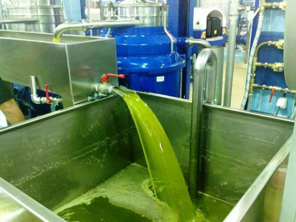 &laquo;SOS&raquo; &Kappa;&rho;&eta;&tau;&iota;&kappa;&omicron;ύ &gamma;&iota;&alpha; &tau;&omicron;&upsilon;&sigmaf; &epsilon;&lambda;&alpha;&iota;&omicron;&upsilon;&rho;&gamma;&iota;&kappa;&omicron;ύ&sigmaf; &sigma;&upsilon;&nu;&epsilon;&tau;&alpha;&iota;&rho;&iota;&sigma;&mu;&omicron;ύ&sigmaf;: &Alpha;&lambda;&lambda;&alpha;&gamma;ή &mu;&pi;&lambda;&omicron;&kappa;ά&rho;&epsilon;&iota; &tau;&iota;&sigmaf; &pi;&lambda;&eta;&rho;&omega;&mu;έ&sigmaf; &Omicron;&Epsilon;&Phi;