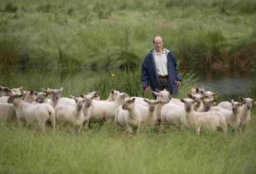  Αποζημιώνονται οι Λάκωνες κτηνοτρόφοι