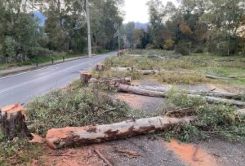 Εξελίξεις με την ανάπλαση στο Άλσος Γουδέ