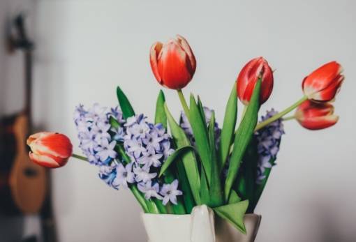 Λουλούδια: Δώστε τους μία θέση στη διακόσμηση του σπιτιού σας