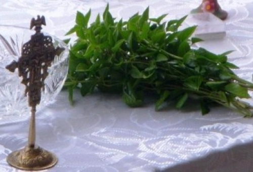 Πρώτο κουδούνι στα σχολεία της Λακωνίας